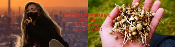 apvp Балахна