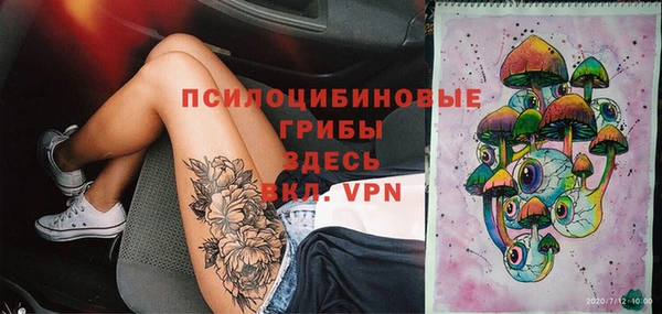 apvp Балахна