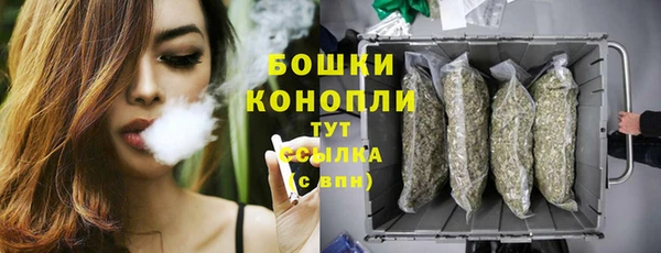 ГАЛЛЮЦИНОГЕННЫЕ ГРИБЫ Баксан