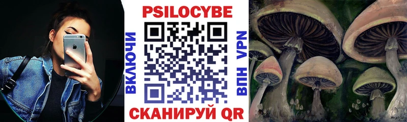 Галлюциногенные грибы мухоморы Заозёрск