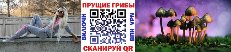 Псилоцибиновые грибы ЛСД Заозёрск